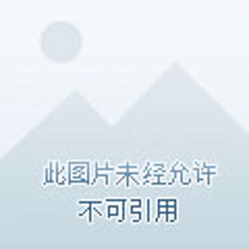公益执行:让爱心照亮更多角落